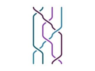 Braid Diagram preview